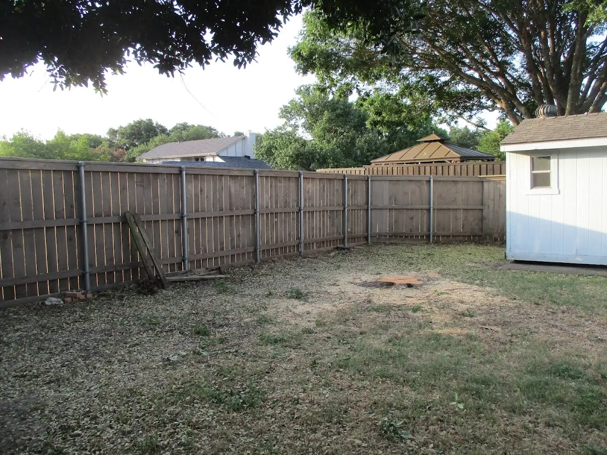 Cleared yard after professional tree removal in Houston
